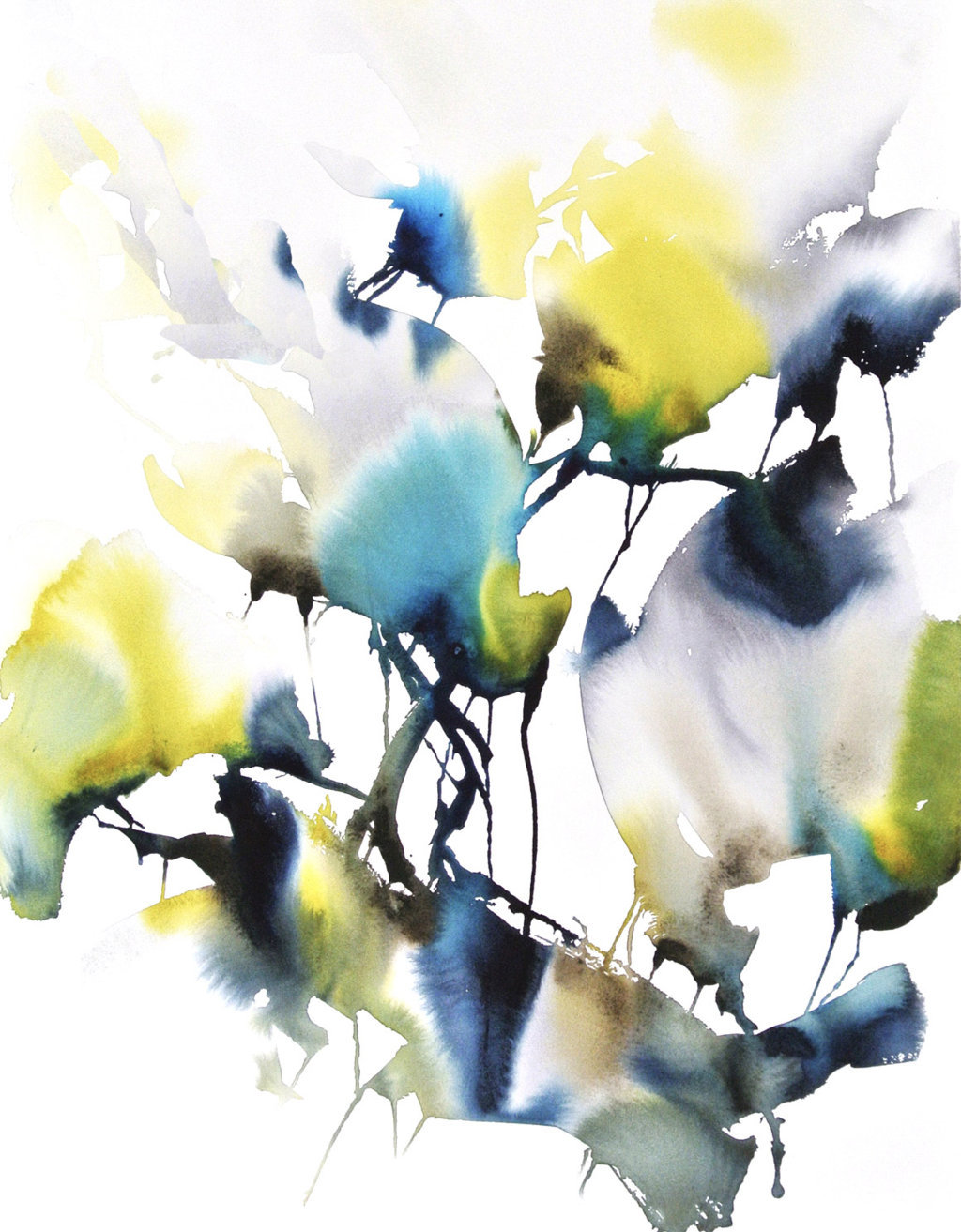Flora & Fauna